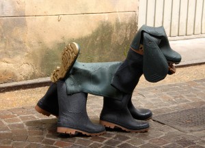 boot doggy