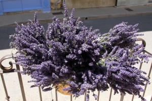 more lavendar