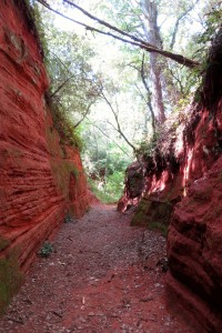 ocre stream bed