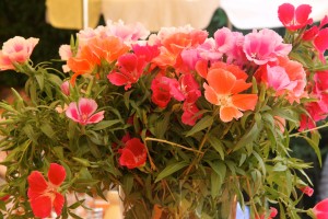 restaurant flowers