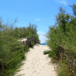 entrance beach